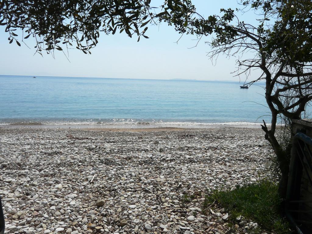 Villa Aliki บาร์บาตี ภายนอก รูปภาพ